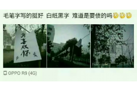 元谋专业讨债公司，追讨消失的老赖